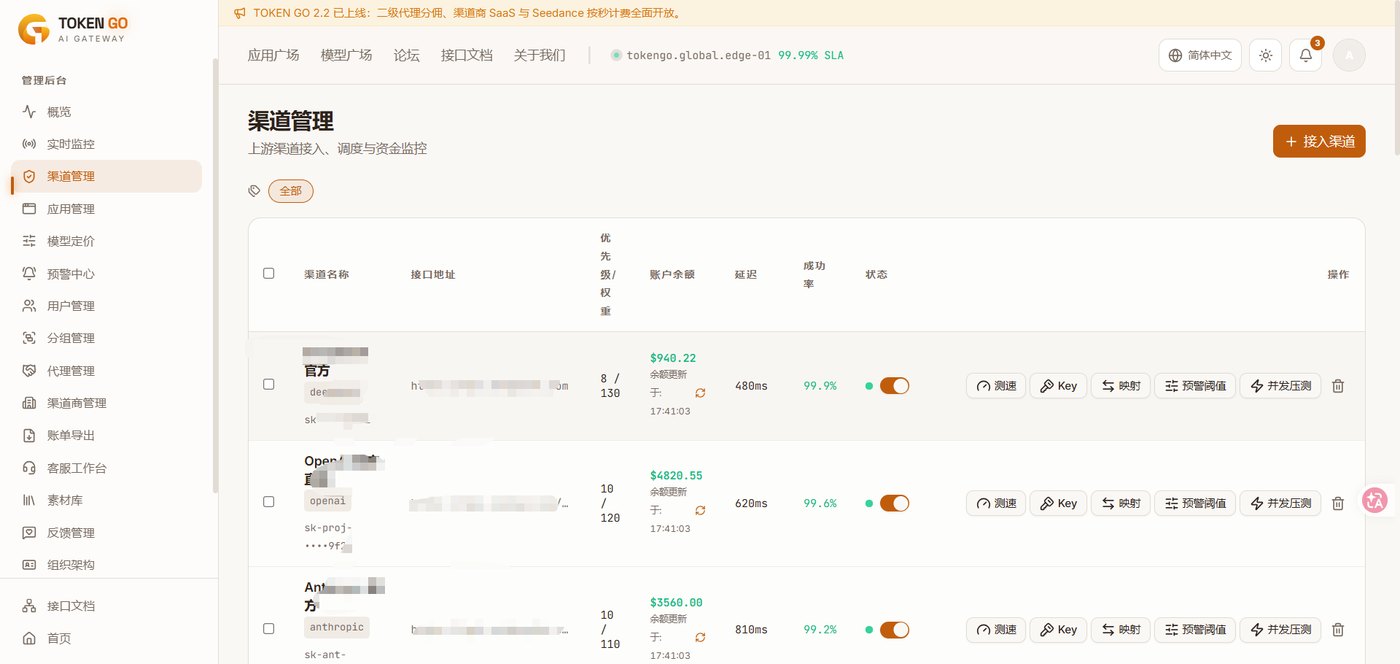 Token GO 渠道管理界面截图，展示多渠道路由配置